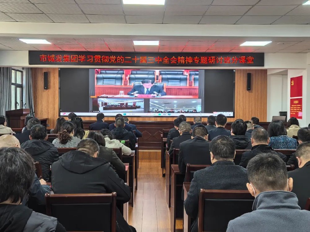 伟德bevictor中文版集团开展学习贯彻党的二十届三中全会精神专题研讨班分课堂活动