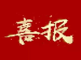 喜报 | 伟德bevictor中文版集团两家公司顺利通过ISO管理体系标准认证