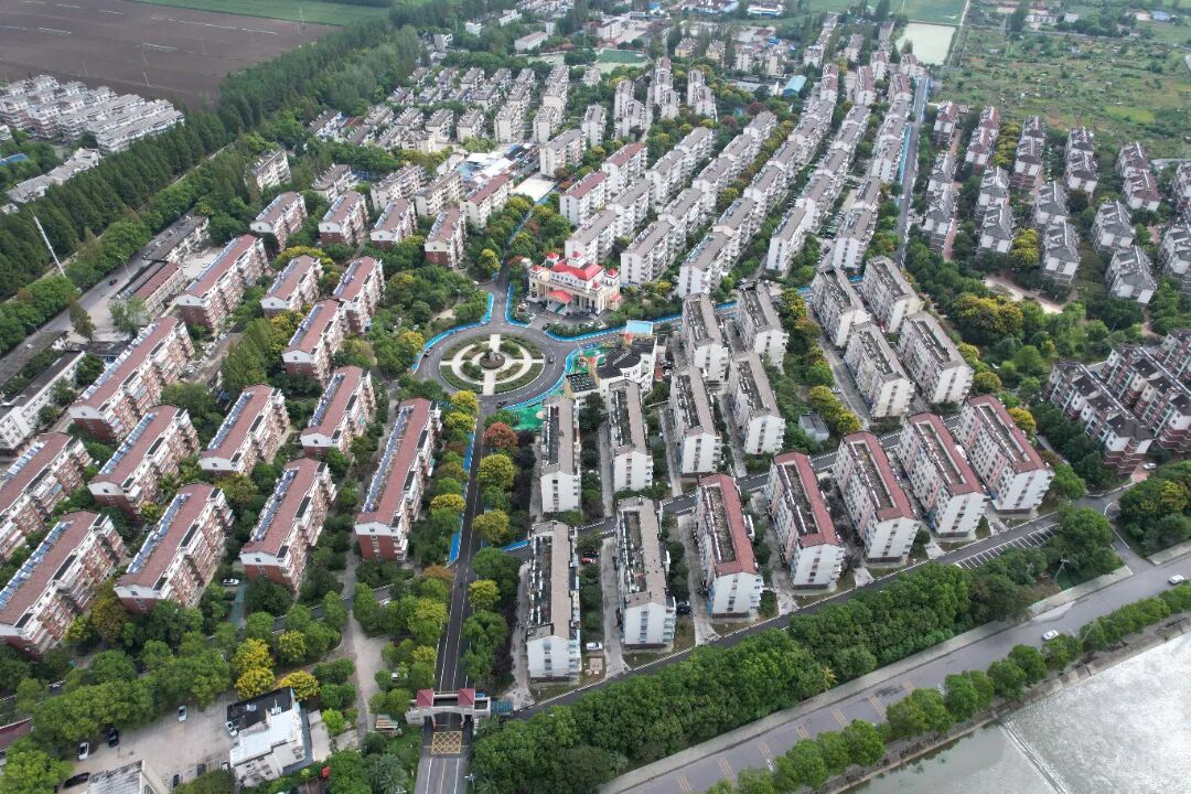 华美2.jpg